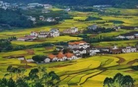 農業(yè)農村部：多措并舉推進農業(yè)農村綠色發(fā)展縮略圖