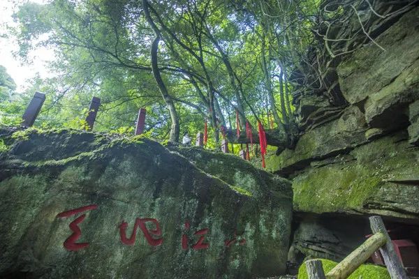 @寧強人，漢江源景區(qū)年卡福利來啦！！插圖15