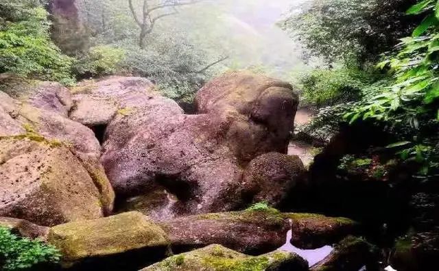 @寧強人，漢江源景區(qū)年卡福利來啦！！插圖16
