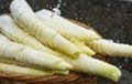 春天就要吃筍！這些選購和食用訣竅快來學(xué)一學(xué)縮略圖