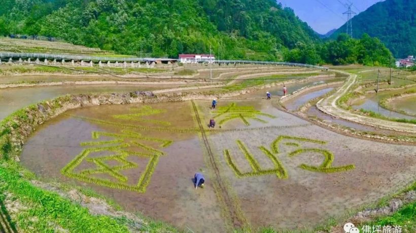 佛坪這些地方，讓你的春游不再單調(diào)！插圖17
