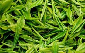 為什么說(shuō)喝春茶沒(méi)必要“洗茶”？縮略圖