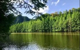 火爆出圈的漢中出游“頂流”，您最鐘意哪一處？縮略圖