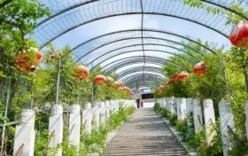 小時(shí)光，慢旅行，初夏游該有的樣子漢中這里都有！縮略圖