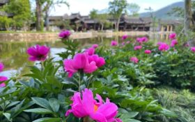 絕美！漢中這處國風(fēng)打卡地，即將刷爆朋友圈！縮略圖