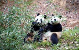 “近郊鄉(xiāng)村游”缺線路？馬上安排！縮略圖