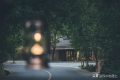 闖進(jìn)留壩秘境森林，過22℃的夏天縮略圖