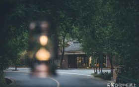 闖進留壩秘境森林，過22℃的夏天縮略圖