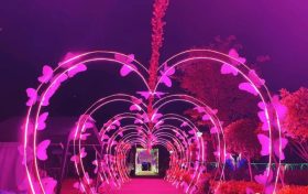 燈光節(jié)，快來體驗夏夜的“繁光遠綴天”！縮略圖