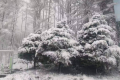 陜西多地5月飄雪！氣象局連發(fā)12個預警 最低氣溫6℃……縮略圖