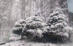 陜西多地5月飄雪！氣象局連發(fā)12個(gè)預(yù)警 最低氣溫6℃……縮略圖
