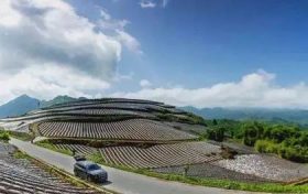 在南鄭，這條“紅色交通線”串起川陜鄉(xiāng)親美好新生活縮略圖