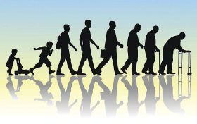 陜西人口出生率總體呈下降態(tài)勢 14歲以下兒童中龍寶寶最多縮略圖