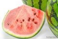 一口8400個(gè)細(xì)菌？你是合格的夏日“吃瓜群眾”嗎？縮略圖