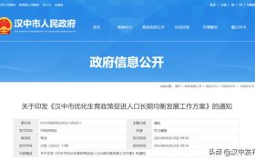 最高補(bǔ)貼1萬元！漢中生育政策來了→縮略圖