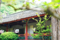 相約今夏，與一代名相來(lái)場(chǎng)穿越時(shí)空的對(duì)話~縮略圖