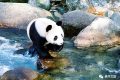 全國(guó)首家！開(kāi)工！縮略圖