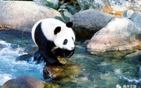 全國首家！開工！縮略圖