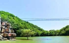 祝賀！漢中這幾個(gè)縣被省政府通報(bào)表彰縮略圖