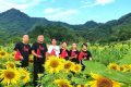 漢中新晉“網(wǎng)紅”向日葵花海，等你來(lái)打卡！縮略圖