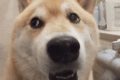 微信將可開“小號”，沖上熱搜！縮略圖