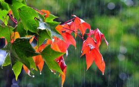 雨終于來了！未來三天陜西省大范圍降水縮略圖