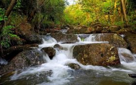 嗨~你好！這里是漢江源縮略圖