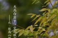 今日白露，勿忘添衣縮略圖