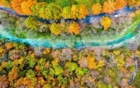 這個國慶，在留壩開啟一場天朗氣清的尋秋之旅！縮略圖