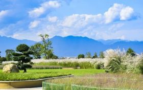期待值拉滿！漢臺秋天的十種浪漫打開方式→縮略圖