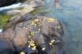未來(lái)三天陜西降水、吹風(fēng)持續(xù) 清晨易出現(xiàn)大霧縮略圖