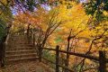邂逅漢中這里，綿延山脈極致色彩等你來欣賞縮略圖