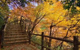 邂逅漢中這里，綿延山脈極致色彩等你來欣賞縮略圖