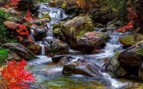 花開千樹“層林盡染”，佛坪秋景大賞~縮略圖