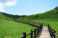 來(lái)留壩，我“氧”你！ 紫柏山負(fù)氧離子含量超國(guó)際標(biāo)準(zhǔn)13倍縮略圖