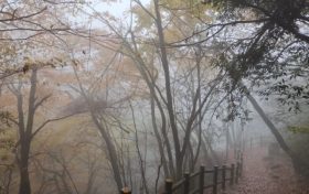 仙霧繚繞，如夢如幻！縮略圖