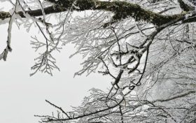 云賞龍頭山入冬初雪！霧凇奇觀太美啦！縮略圖