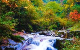 洋縣長青華陽景區(qū)恢復開園公告縮略圖