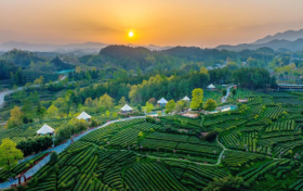 喜報(bào)！漢中市3縣獲第六批國家生態(tài)文明建設(shè)示范區(qū)和“兩山”基地命名！縮略圖