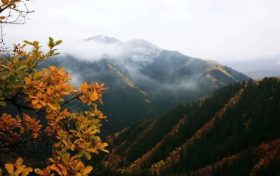正當(dāng)時(shí)，邂逅青木川的初冬縮略圖