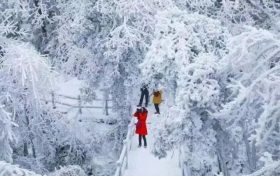 小雪已至，漢江源與你有約縮略圖