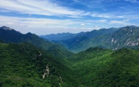 朱鹮、秦嶺石蝴蝶珍稀瀕危物種保護(hù)入選2022年生物多樣性保護(hù)優(yōu)秀案例縮略圖