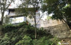 “陽”了后你還在“咳咳咳”嗎？縮略圖