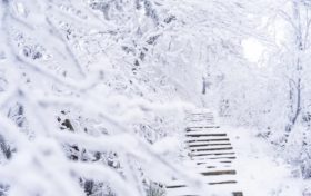 兩次弱雨雪！漢中“春節(jié)”最低氣溫在這天→縮略圖