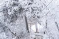 陜西降溫、吹風(fēng)來(lái)襲 局地降溫可達(dá)10℃縮略圖