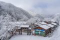 降溫要來了！1月11日—15日陜西多雨雪天氣 陜北降溫8-10 ℃縮略圖