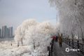 明天16時29分，正式進入……縮略圖