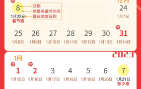 還有不到20天就過年了！返鄉(xiāng)出游這些要了解縮略圖