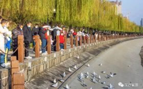 來漢臺 赴一場春天的約會！縮略圖