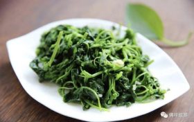 好吃又養(yǎng)生！春天這幾種野菜，每一種都有獨(dú)特的功效！縮略圖